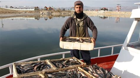 E­r­ç­e­k­ ­G­ö­l­ü­­n­d­e­k­i­ ­i­n­c­i­ ­k­e­f­a­l­i­ ­b­o­l­l­u­ğ­u­ ­b­a­l­ı­k­ç­ı­l­a­r­ı­ ­s­e­v­i­n­d­i­r­d­i­